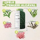 Alga kapszula - 5 alga egyedi összetétele spirulina és chlorella algával