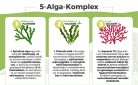 Alga kapszula komplex, 5 fajta prémium minőségű alga: spirulina, chlorella alga, astaxanthin, barna alga és alga kalcium egyedi keveréke.
