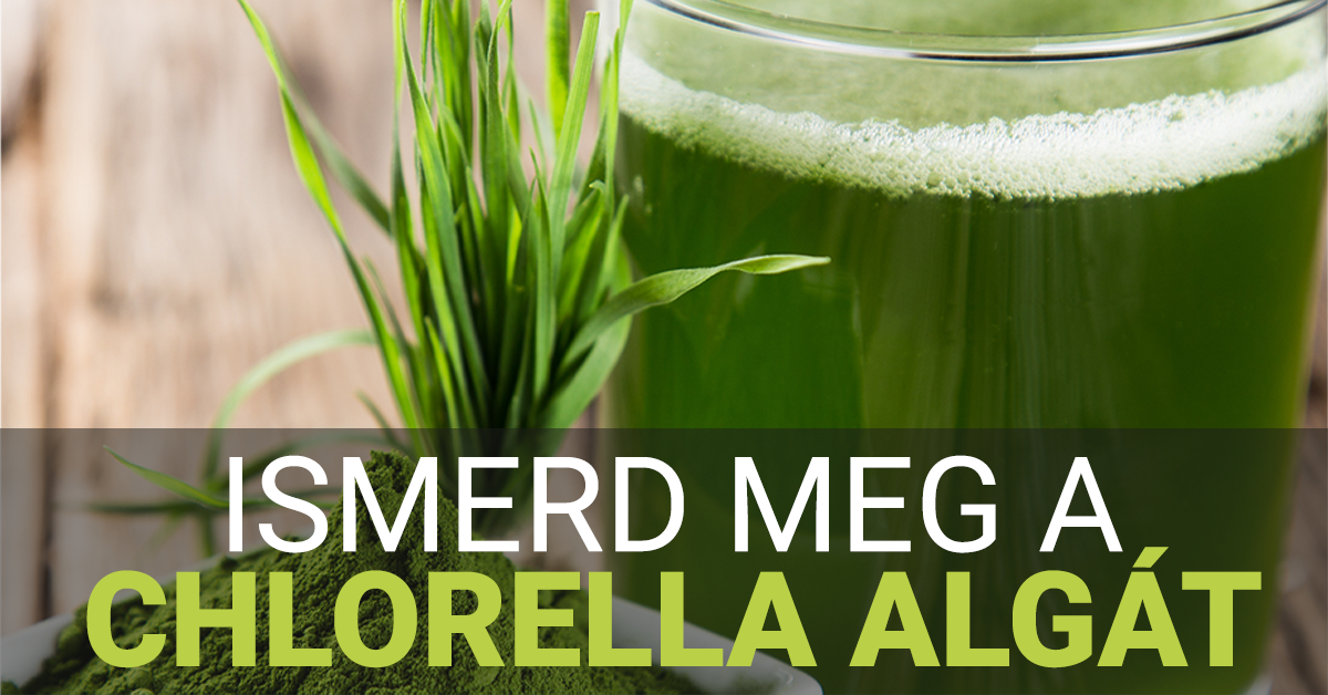 Ismerd meg a Chlorella algát