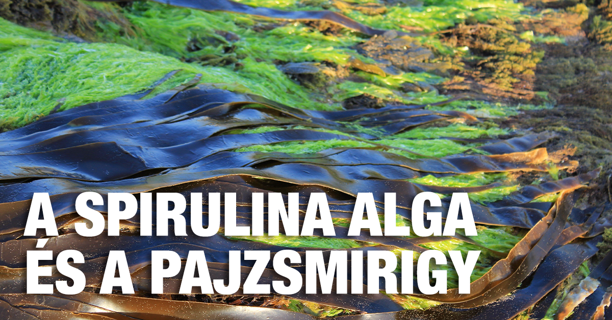 A Spirulina alga és a pajzsmirigy